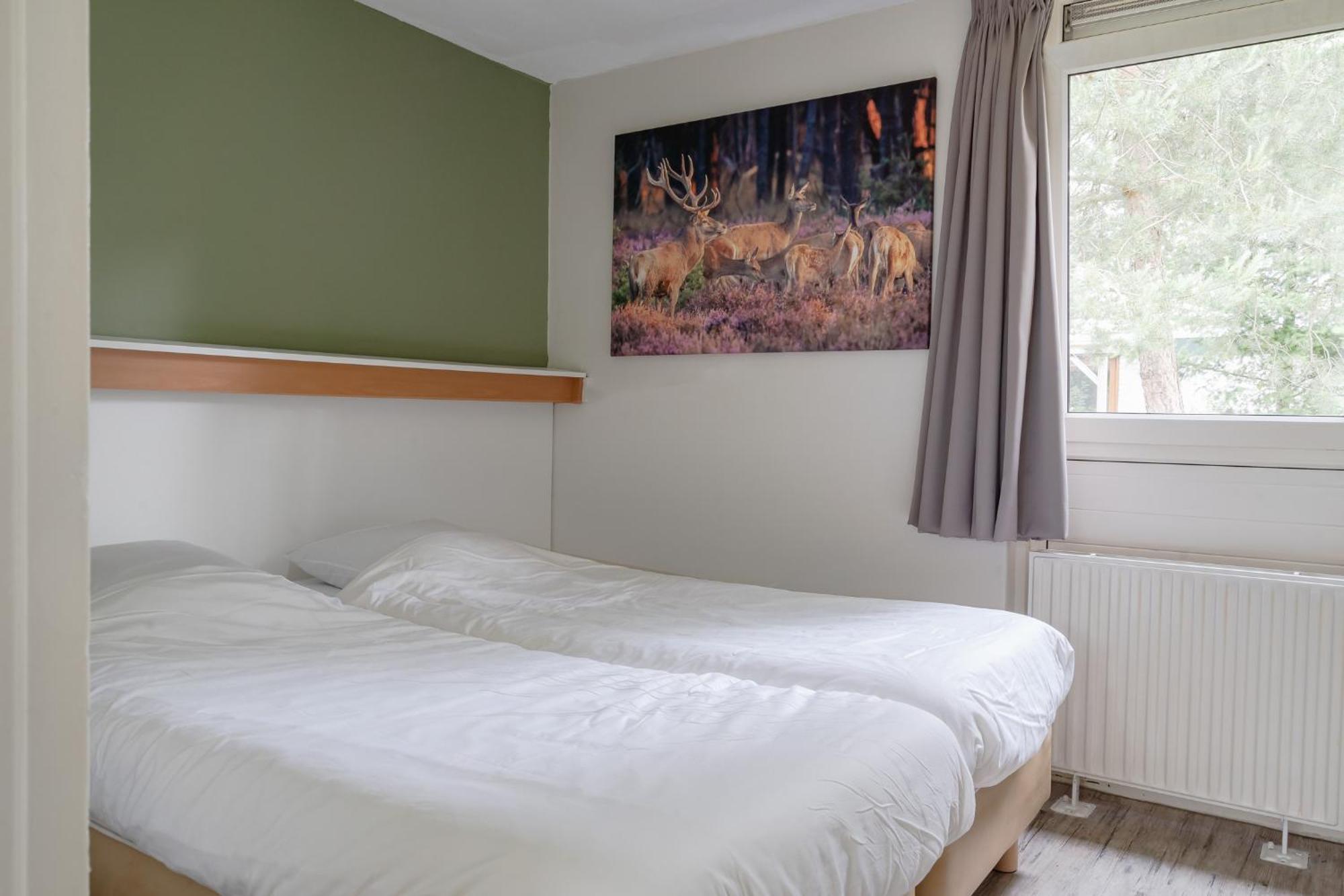 Rcn Vakantiepark De Roggeberg アッペルスカ エクステリア 写真