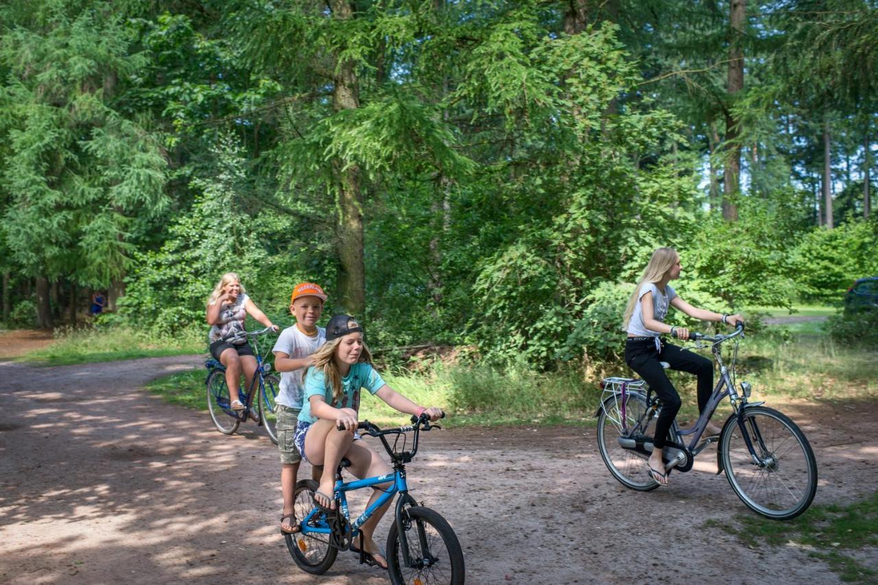 Rcn Vakantiepark De Roggeberg アッペルスカ エクステリア 写真